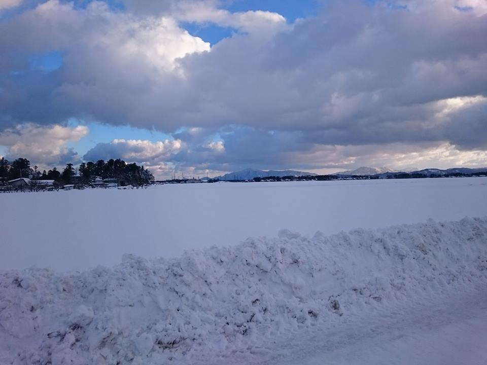 大雪の翌日